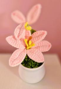 a small pink flower in a white pot at The Suite at O'Shea's in Killorglin