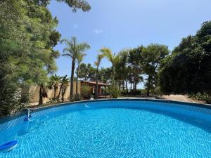 a large blue swimming pool with trees and a house at Villa mit großem Garten und Aufstellpool, 800m zum Meer, Lido Marini in Lido Marini