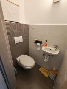a small bathroom with a toilet and a sink at Juniper 3 Business in Kecskemét +10 photos