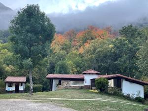 a house on a hill with trees in the background at Camping el Cares in Santa Maria de Valdeón +7 photos