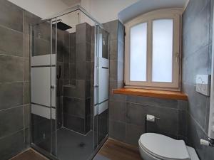 a bathroom with a shower and a toilet at La Strada di Tiziano in Pieve di Cadore