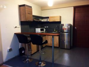 Kuchyň nebo kuchyňský kout v ubytování Plaza Sur Hotel & Suites