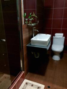 Koupelna v ubytování Plaza Sur Hotel & Suites