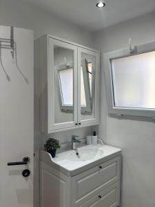 a white bathroom with a sink and two windows at Modern apartment in Brussels, ground floor in Brussels +4 photos