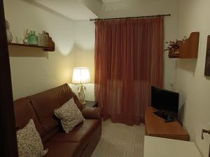 a living room with a brown couch and a television at Apartamentos Oreña in Oreña