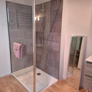 a shower with a glass door in a bathroom at Gite De La Baguelande in Les Andelys +25 photos