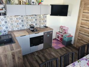 a kitchen with a stove and a counter top at Widlakówka in Rzepiska