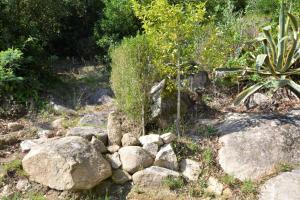 a pile of rocks in a garden with a plant at Casinha in Sintra