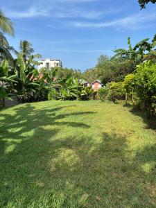 a grassy yard with a large shadow on it at Maison Baby plein centre in Ambatoloaka +6 photos