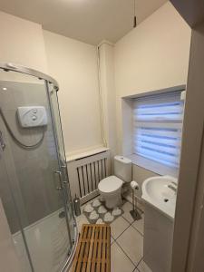 a bathroom with a shower and a toilet and a sink at Cosy Townhouse 2bedroom in Enniscorthy +4 photos