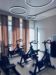 a gym with several cardio bikes in a room at Malishka Eco Villas