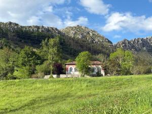 a house in a field with mountains in the background at Escuelas de collía A AT-1537-AS in Arriondas