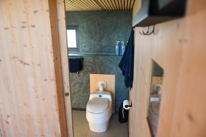 a bathroom with a toilet in a small room at Tiny House Pioneer 5 - Green Tiny Spot Schillig in Wangerland +26 photos