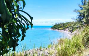 a view of a beach from a hill at Suite Quadrupla Terreo Oceazul in Conde