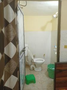 a bathroom with a toilet and a green bidet at Abhinav Home stay in Ayodhya