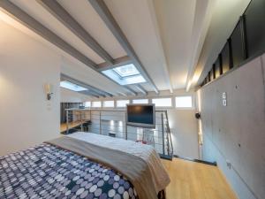 a bedroom with a bed and a flat screen tv at LE LOFT 67 in Strasbourg