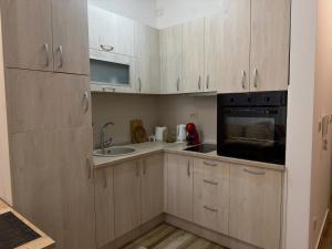 a small kitchen with wooden cabinets and a sink at Modern Apartment with Balcony in Przno - Near Beach in Pržno