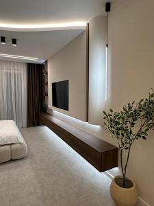 a bedroom with a television and a potted plant at Mediteran Line Apartman 2 in Sombor