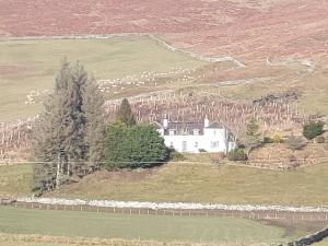 a large white house on a hill in a field at Hawks Nest in Selkirk