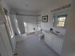 a bathroom with a sink and a toilet and a mirror at Hawks Nest in Selkirk +10 photos