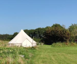 a large white tent in a field of grass at Stenbækgård - Farm Glamping in Højslev