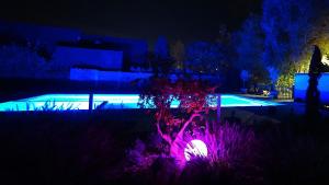 a swimming pool at night with purple lights at Colors Holiday Hotel in Siófok