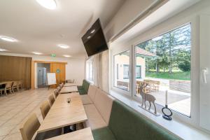 a waiting room with benches and a window at Ferienwohnungen Hebalm in Pack
