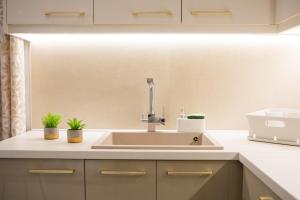 a kitchen sink with two plants on the counter at Luxury and Cozy Chios in Chios +33 photos