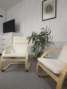 two chairs and a plant in a room at Vamesu Frontiers - Luxury borders in Sibiu