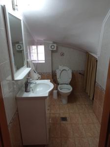 a small bathroom with a toilet and a sink at SOUROTI Pinios House in Sourotí +19 photos