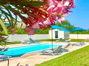 a swimming pool with chairs and umbrellas next to at Campo Vecchio Mare et Piscine in Ghisonaccia