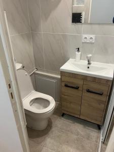 a bathroom with a toilet and a sink at Studio Centre Ville in Tarbes