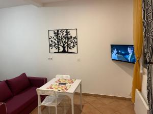 a living room with a table and a couch and a tv at Studio Centre Ville in Tarbes +20 photos