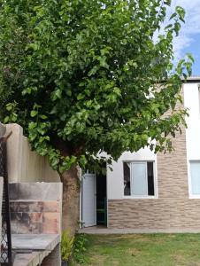 a tree in front of a house with a bench at Mi casa querida in Mar de Ajó