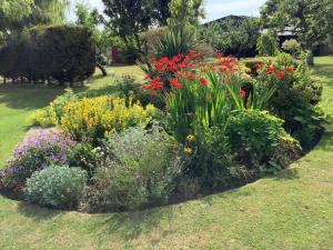 a garden of colorful flowers in a yard at Manor Farm in Poundon