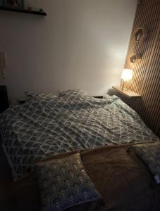 a bed with a comforter and a lamp in a bedroom at Charmant studio Thionville in Thionville