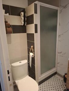 a bathroom with a toilet and a shower at Charmant studio Thionville in Thionville