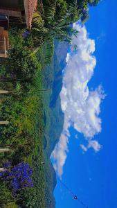 a white cloud in the sky next to some plants at Serra mineira in Resende