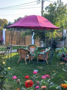 a gazebo with two chairs and a red umbrella at Cabanele Avoca in Avrig