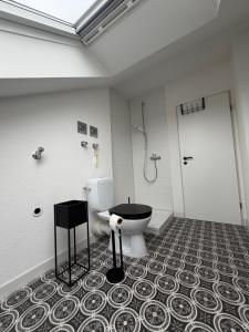 ein Badezimmer mit Toilette und Dusche in der Unterkunft Modernes Dachgeschossapartment in Singen Zentrum in Singen