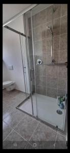 a shower with a glass door in a bathroom at Zimmer zu vermieten in Rammingen