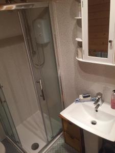 a bathroom with a shower and a sink at Weston's Wood Cabins in Blakeney