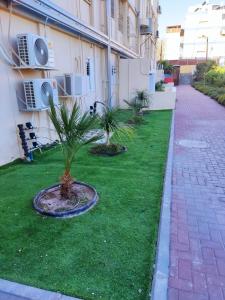 a yard with palm trees in front of a building at נוף ים אילת in Eilat