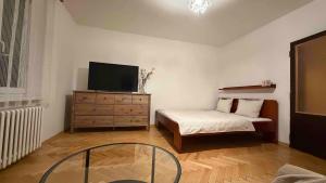 a bedroom with a bed and a dresser with a television at U Aleny pod Radhoštěm in Rožnov pod Radhoštěm