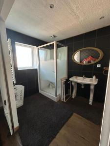 a bathroom with a sink and a mirror at Maison Charmante in Vervins
