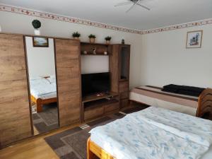 a bedroom with a bed and a tv in it at Apartment Ferienwohnung by Interhome in Tihany