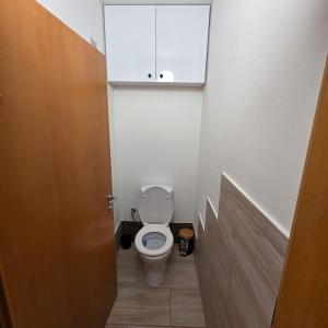 a bathroom with a toilet with a cabinet above it at Apartment AlpenHerz Trieben in Trieben +26 photos