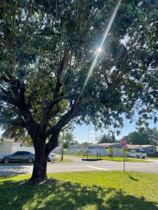 a tree on the side of a street with a stop sign at Modern Hard Rock Apartment in Miramar