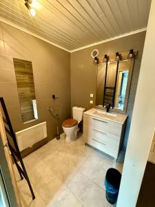 a bathroom with a toilet and a sink and a mirror at Gîte 2 suites proche du lac de Chalain in Montigny-sur-lʼAin +14 photos