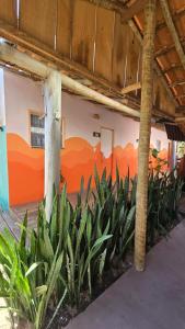 a row of plants in front of a building at Vila Ohana Beira Mar - Caraíva in Caraíva